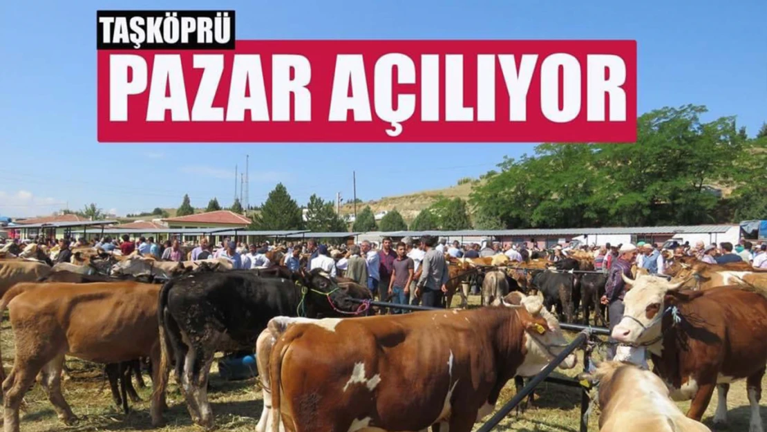 Kastamonu'daki hayvan pazarı yeniden açıldı.