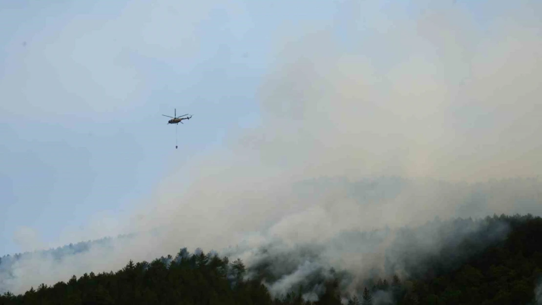 Kastamonu'daki Orman Yangına 18 Saattir Müdahale Devam Ediyor