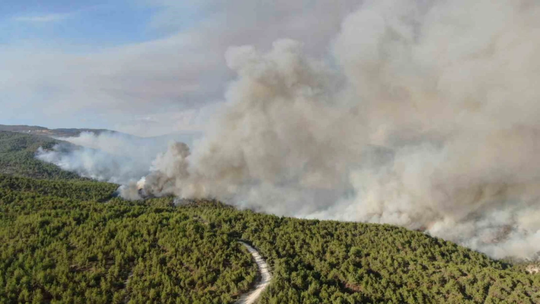 Kuvvetli Rüzgar Müdahaleyi Güçleştiriyor