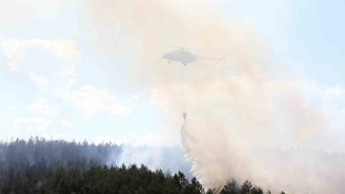 Kastamonu'daki Orman Yangınına Müdahale Sürüyor