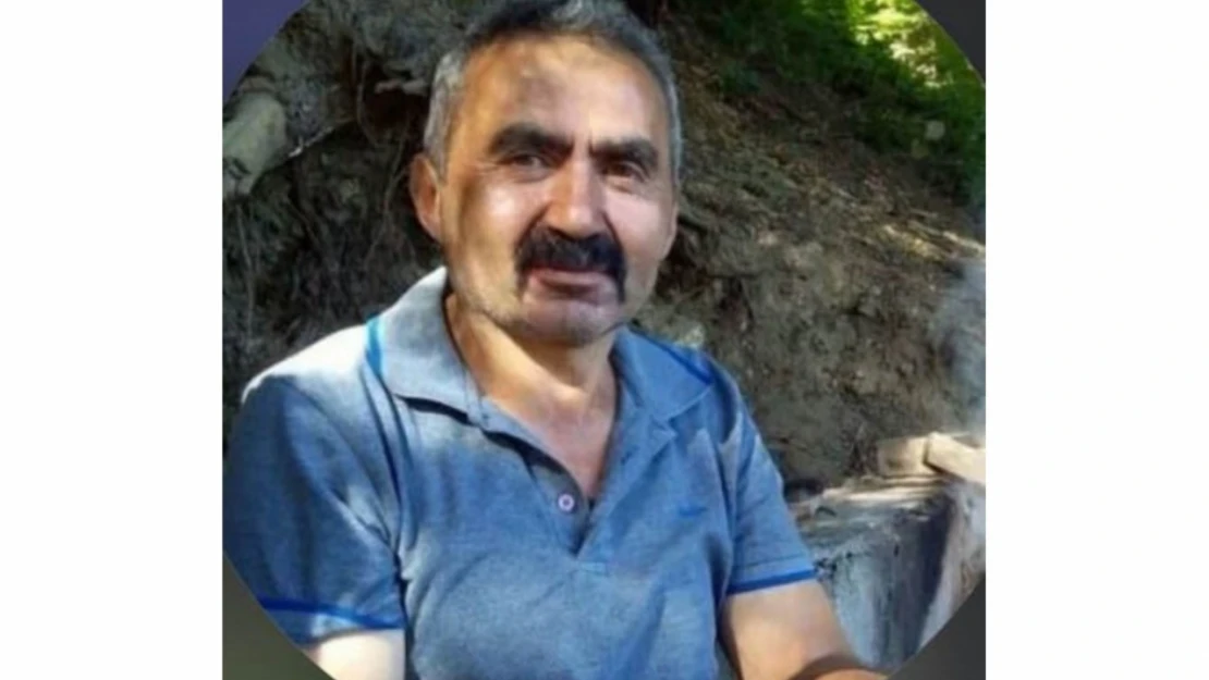 Kestiği Ağacın Altında Kaldı