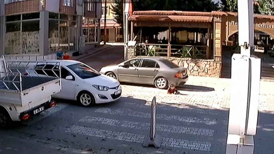 Kılpayı kurtuluş!