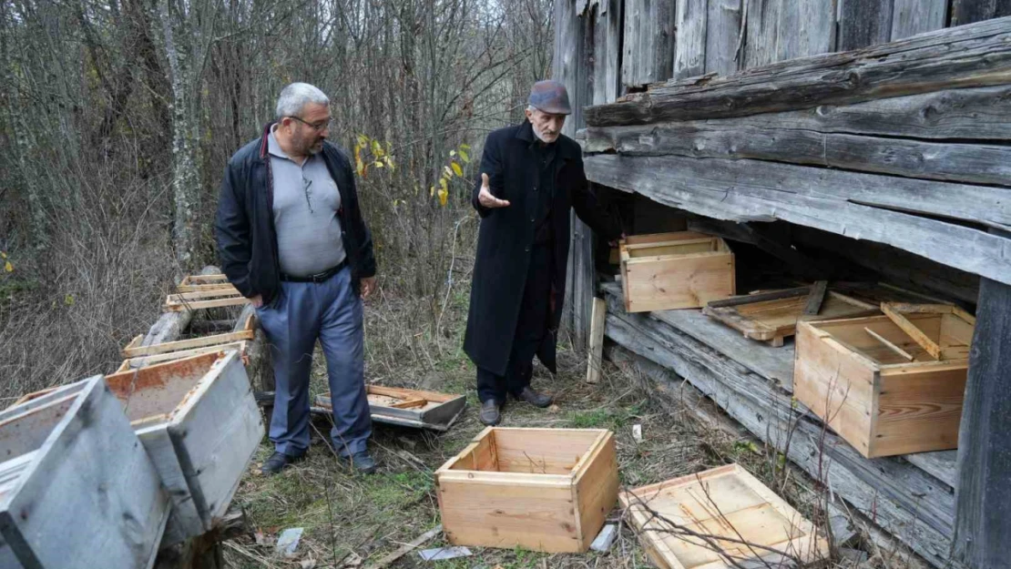 Ayılar İndikleri Köyde 50 Arı Kovanını Parçaladı