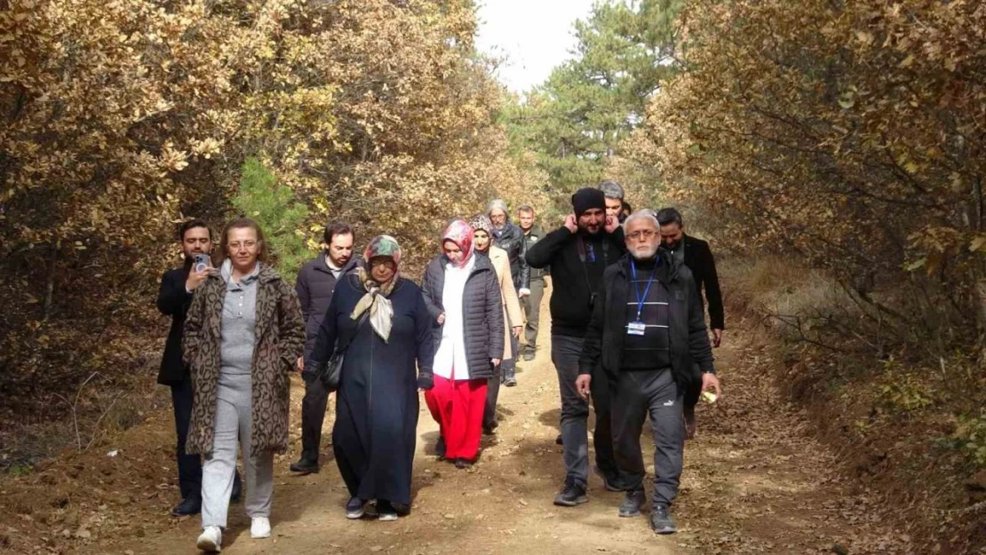 KOAH Ve Astım Hastalarına Özel Doğa Yürüyüşü