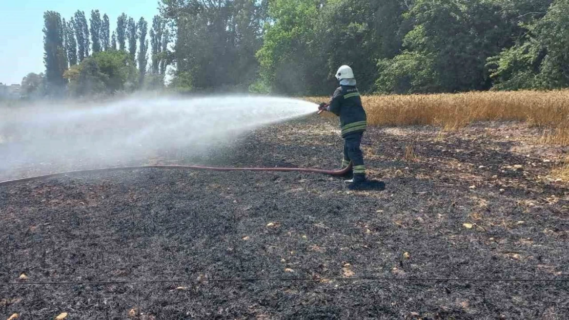 Kopan Elektrik Kablosu Buğday Tarlasını Küle Çevirdi