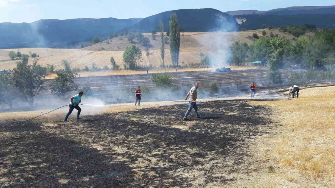 Köylülerin Erken Müdahalesi Alevlerin Önüne Geçti