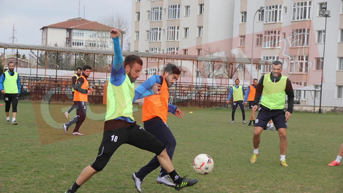 KSK 1966'da hazırlıklar tam gaz