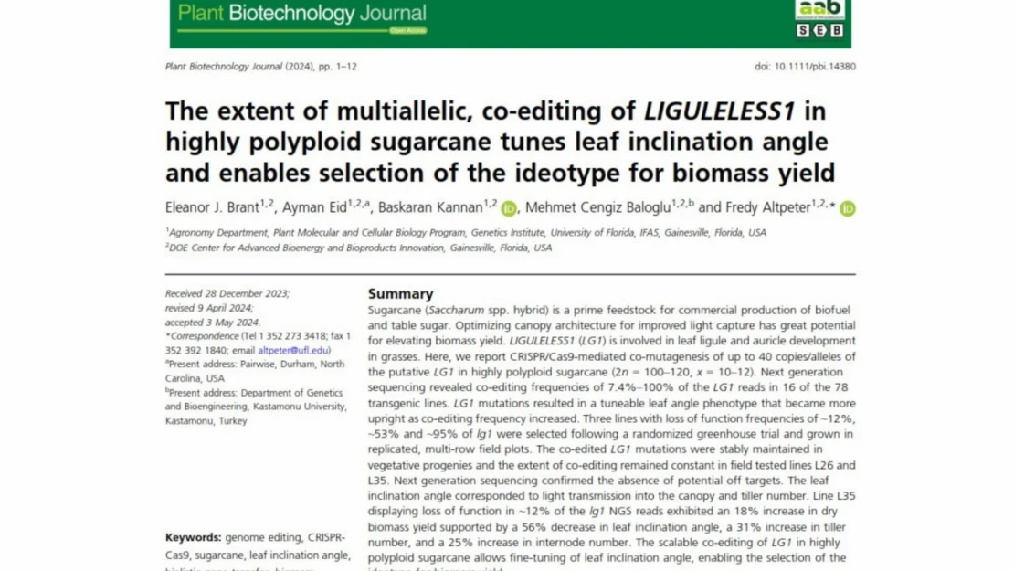 KÜ, 'Plant Biotechnology Journal' Dergisinde Yer Aldı