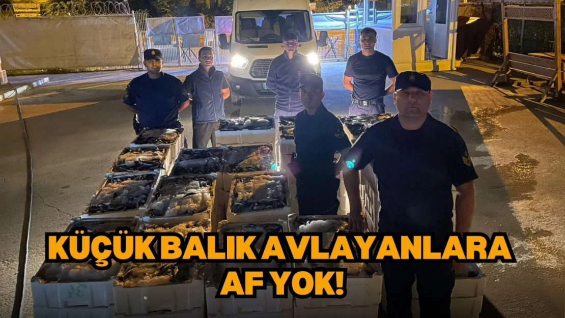 Küçük Balık Avlayanlara Af Yok!