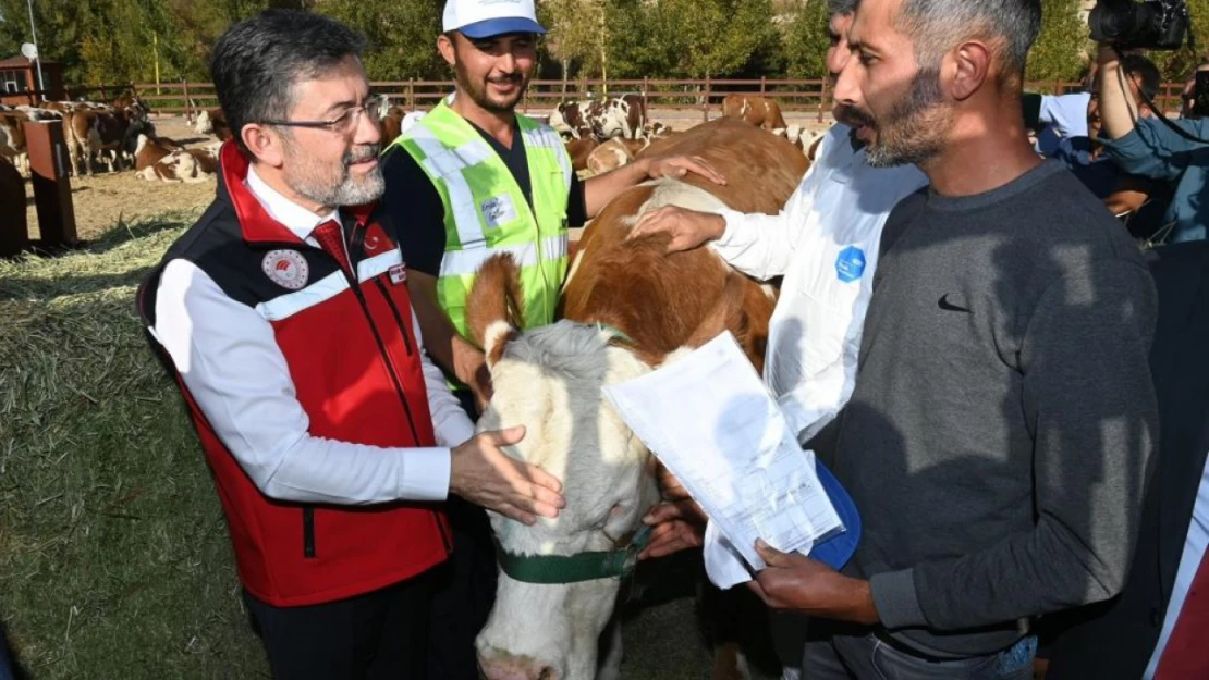 Kurbanda 830 Bin Büyükbaş Ve 2,5 Milyon Küçükbaş Hayvan Kesildi