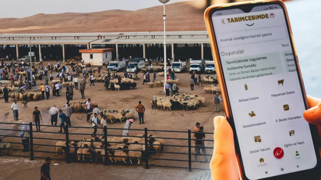 Kurbanlıklar 'TarımCebimde' uygulamasında