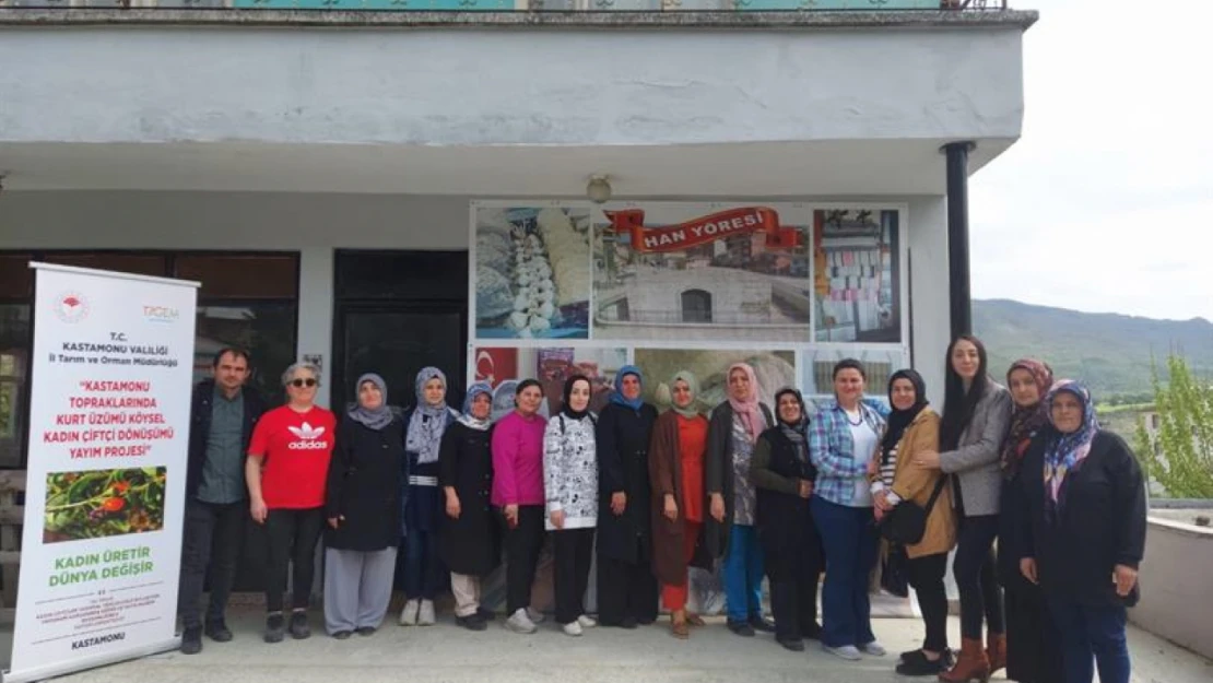 Kurt üzümü Kastamonu'da kadın çiftçilere tanıtıldı