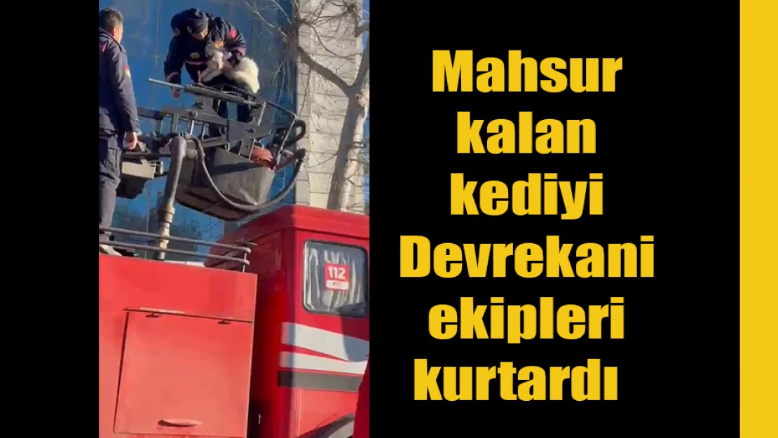 Mahsur kalan kediyi Devrekani ekipleri kurtardı