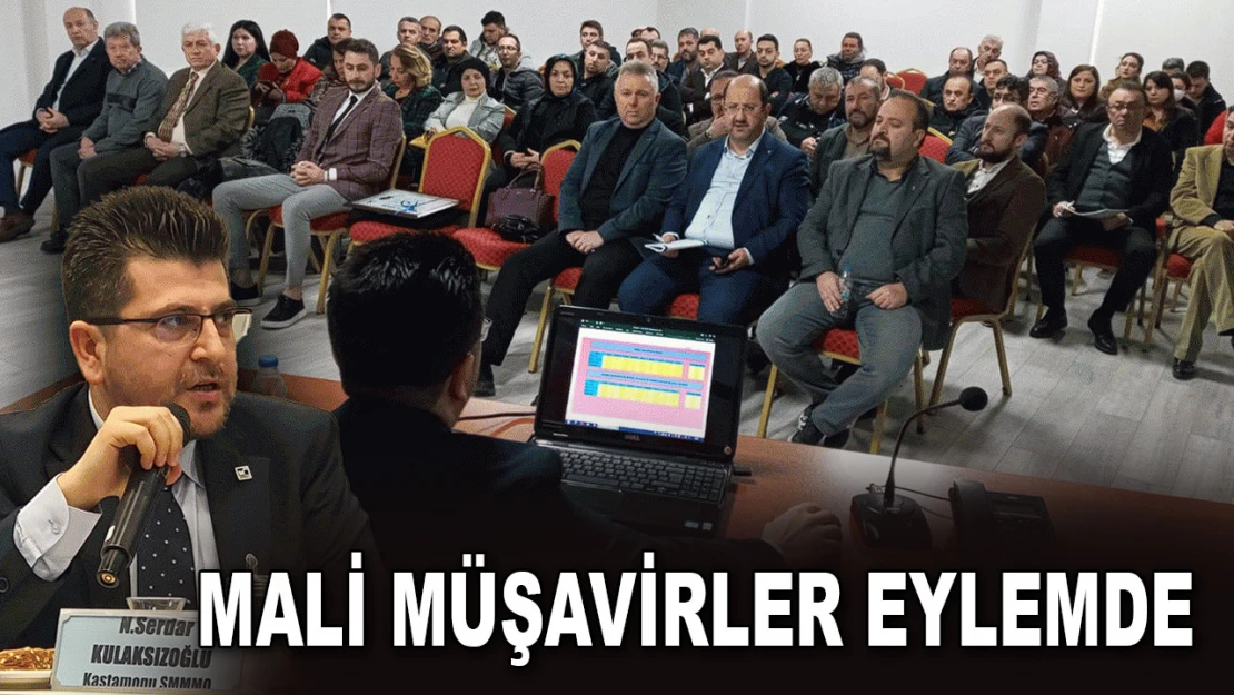 Mali Müşavirler Eylemde