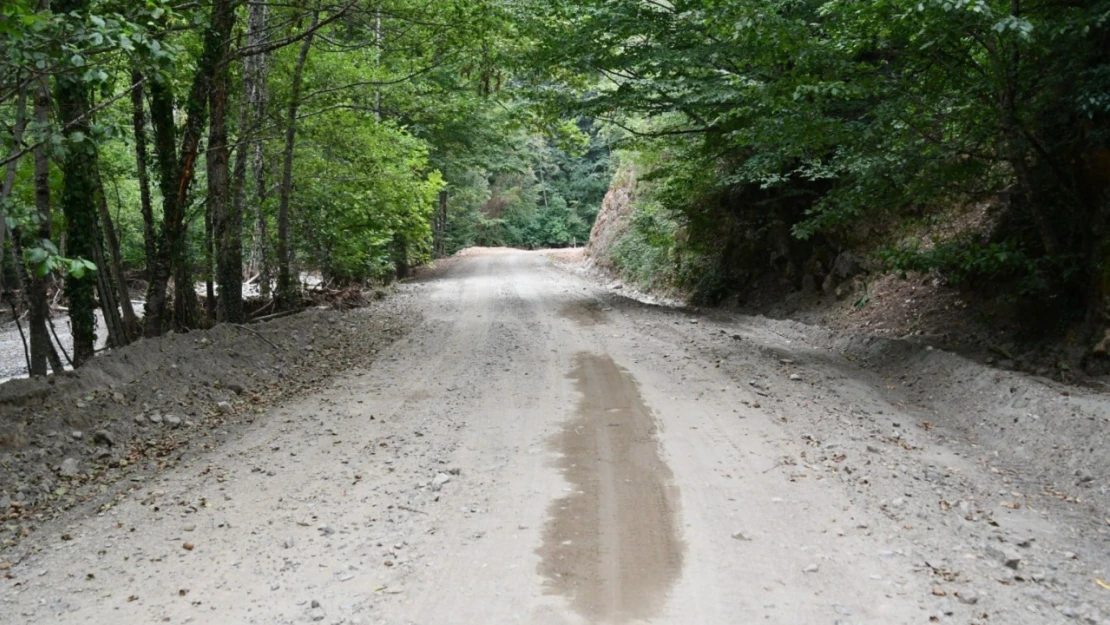 Mengen-Yedigöller yolu ulaşıma açıldı