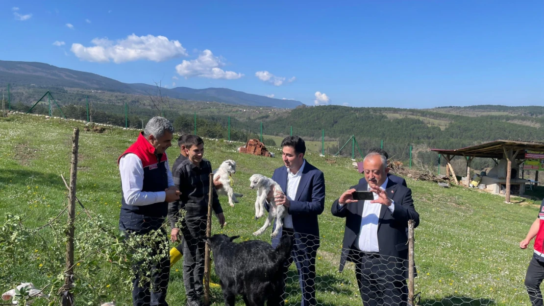 Meralar Sevgiyle Doldu