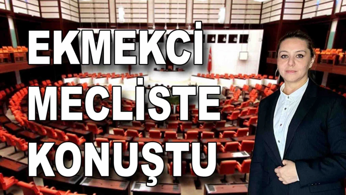 Milletvekili Serap Ekmekci Meclis'te Konuştu