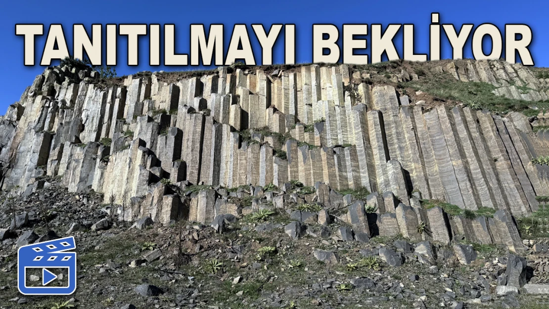 Milyonlarca Yıl Önce Oluştu, Tanıtılmayı Bekliyor