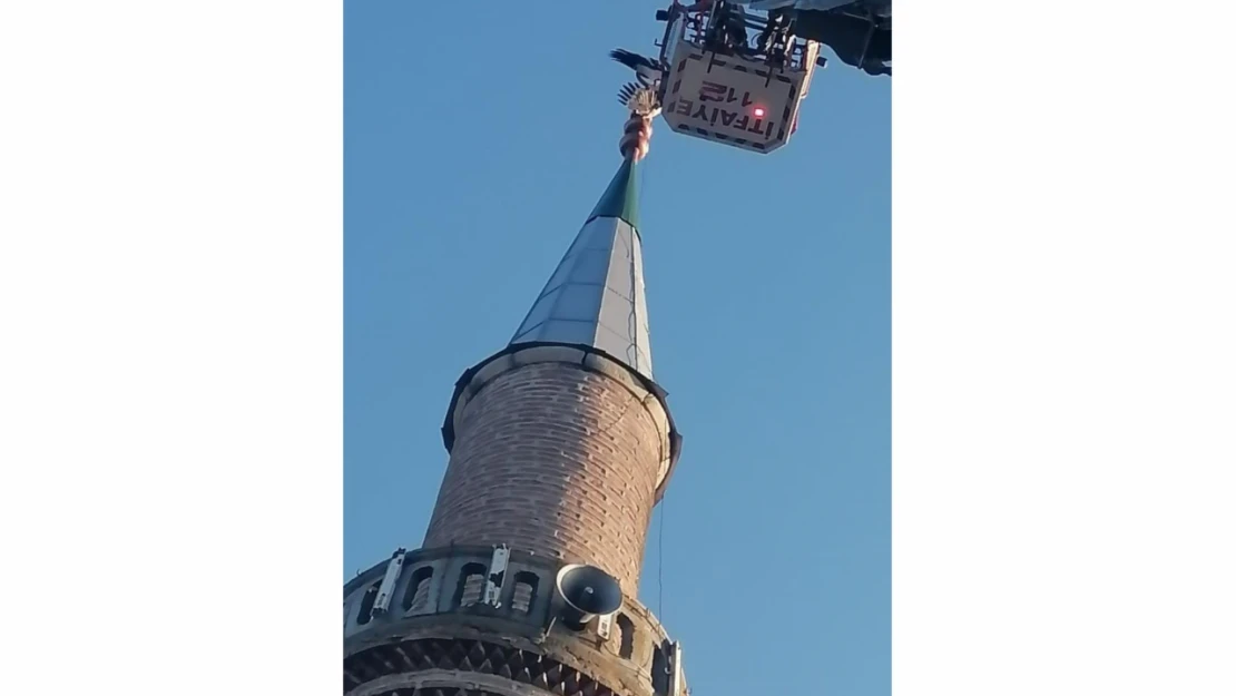 Minareye takılan leylek kurtarıldı