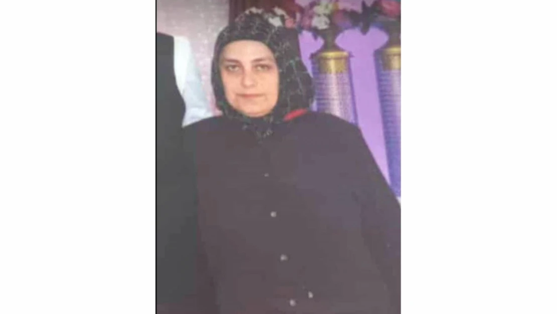 Motosikletin çarptığı yaya hayatını kaybetti