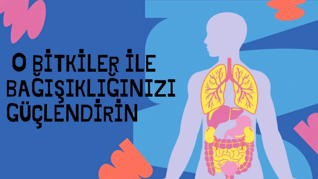 O Bitkiler ile Bağışıklığınızı Güçlendirin