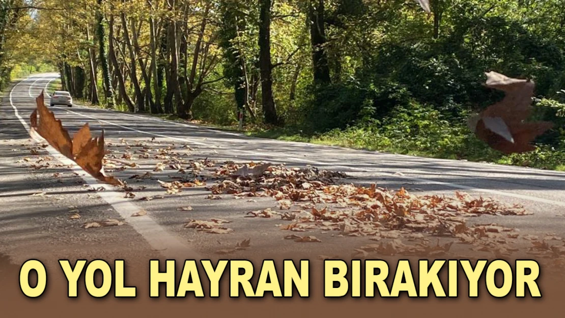 O Yol Hayran Bırakıyor