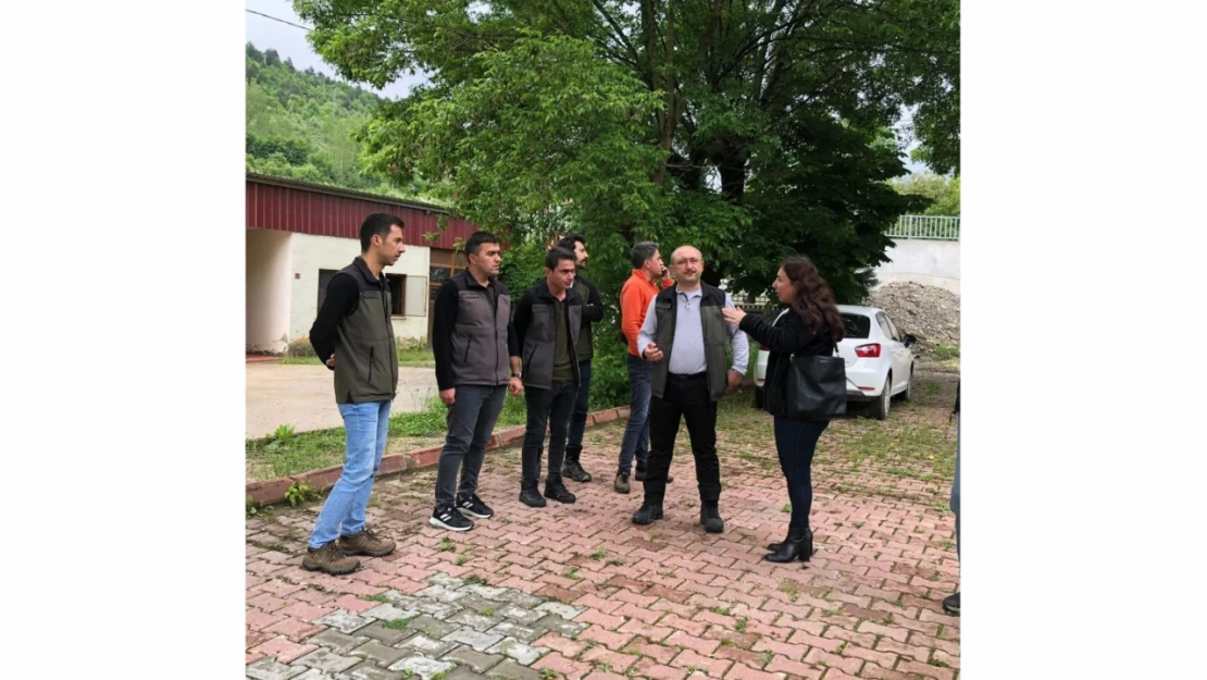 Orman Azdavay için harekete geçti