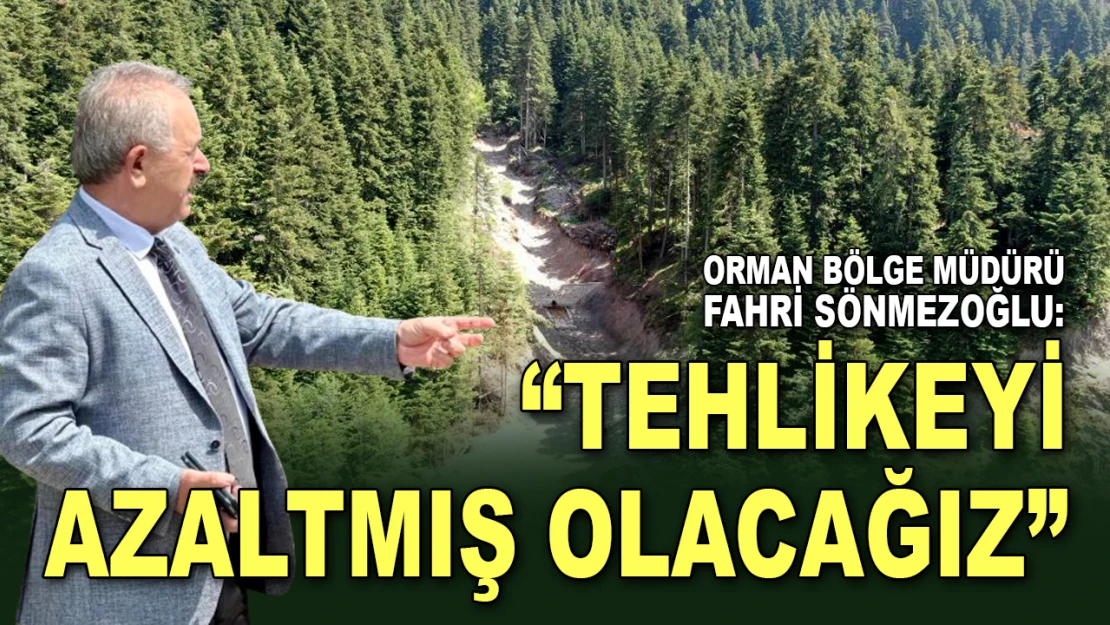 Orman Bölge Müdürü Sönmezoğlu: 'Sel Sularını Tutarak Tehlikeyi Azaltmış Olacağız'