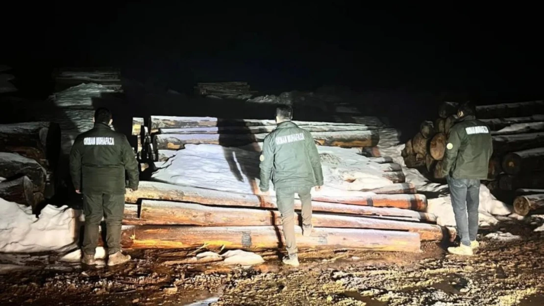 Orman Gece Korumasını Sürdürüyor