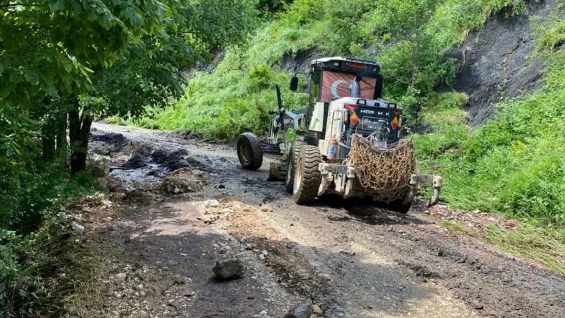 Orman sahada çalışmalarını sürdürüyor