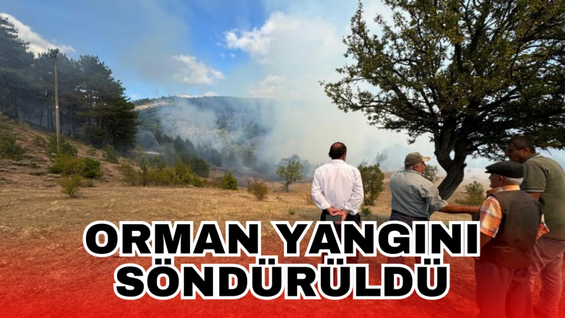 Orman Yangını Söndürüldü