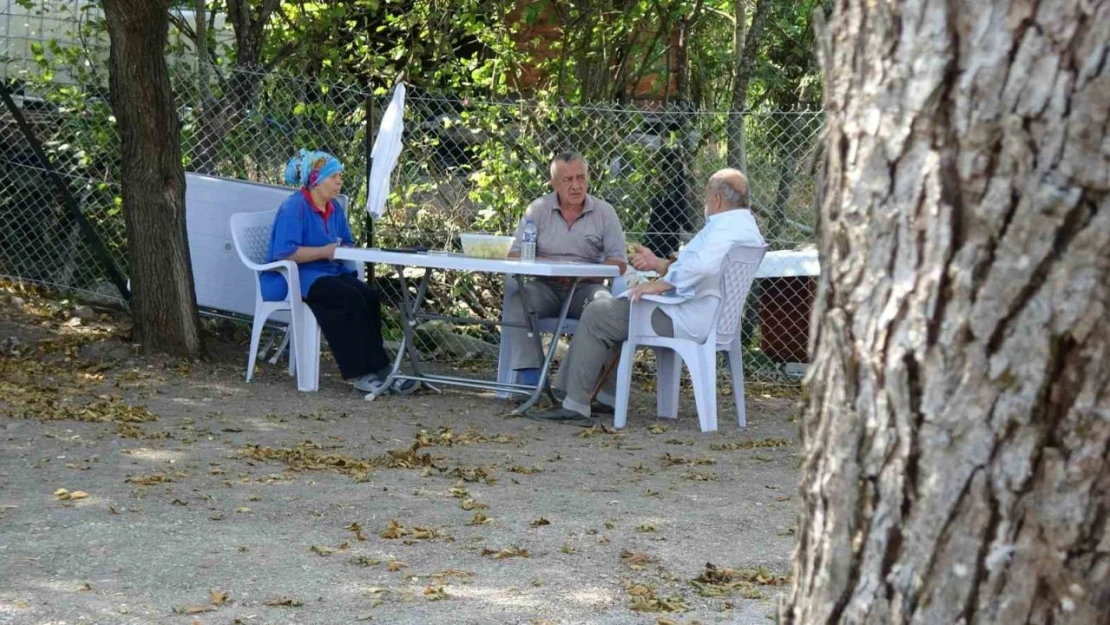 Orman Yangınında 60 Yıl Sonra Aynı Acıyı Yaşadı