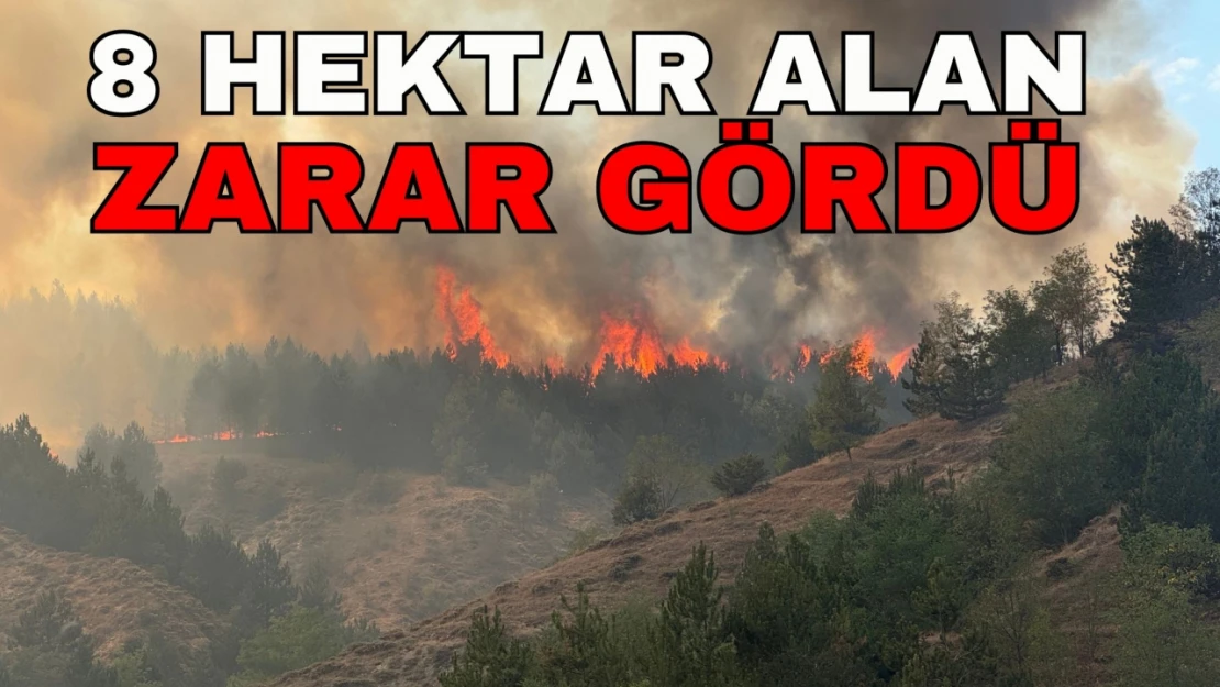 Orman Yangınında 8 Hektar Alan Zarar Gördü