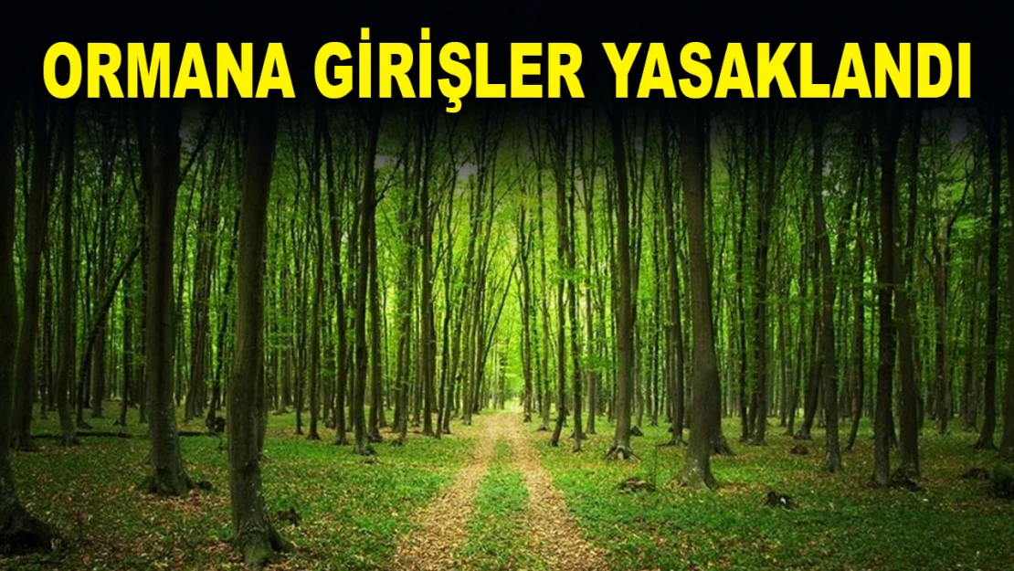 Ormana Girişler Yasaklandı