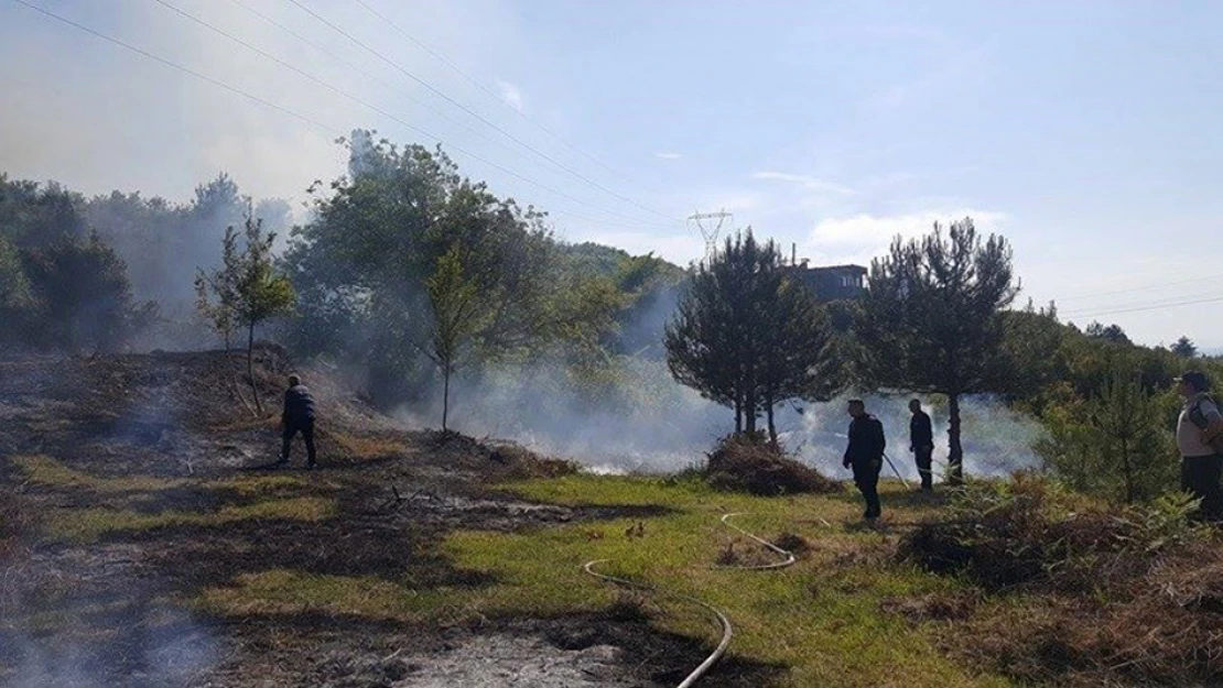 Ot yakarken ormanı tutuşturdu