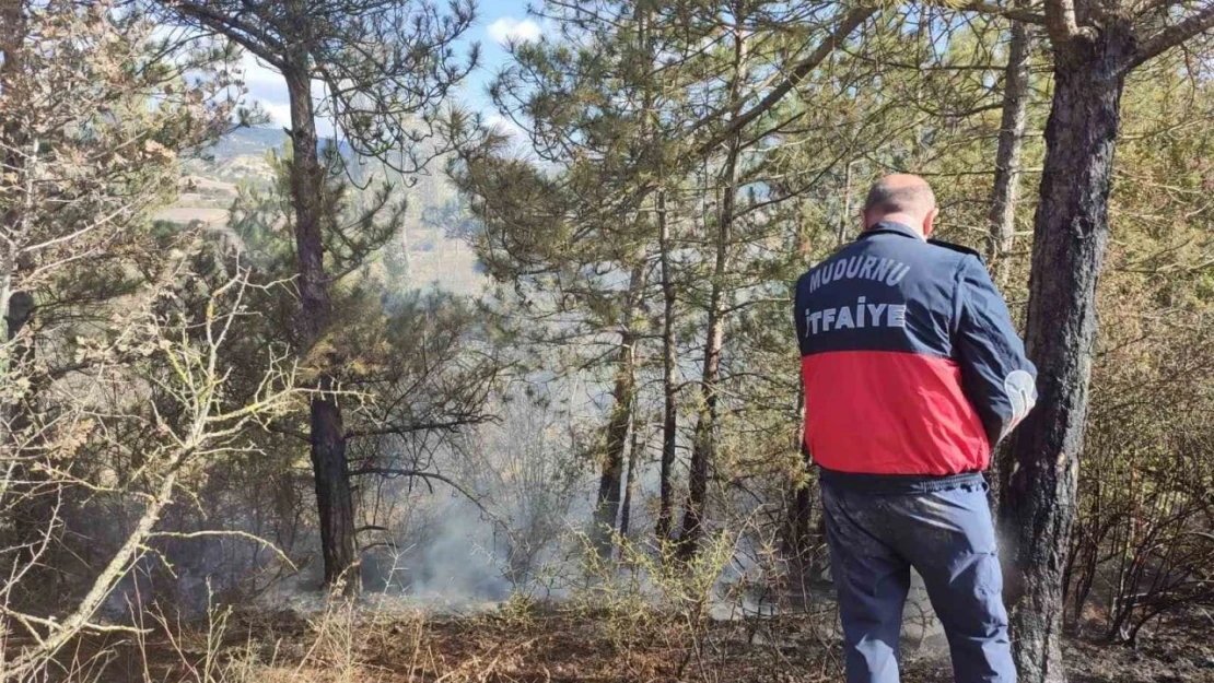 Ot Yangını Ormana Sıçramadan Söndürüldü