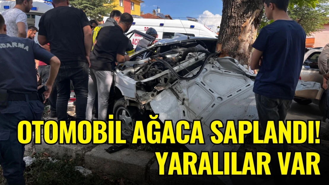 Otomobil Ağaca Saplandı! Yaralılar Var