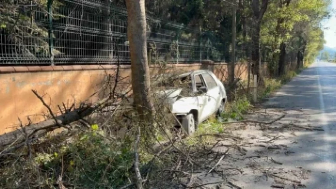 Otomobilin Çarptığı Ağaç Üzerine Devrildi, Yangın Çıktı: 1 Yaralı