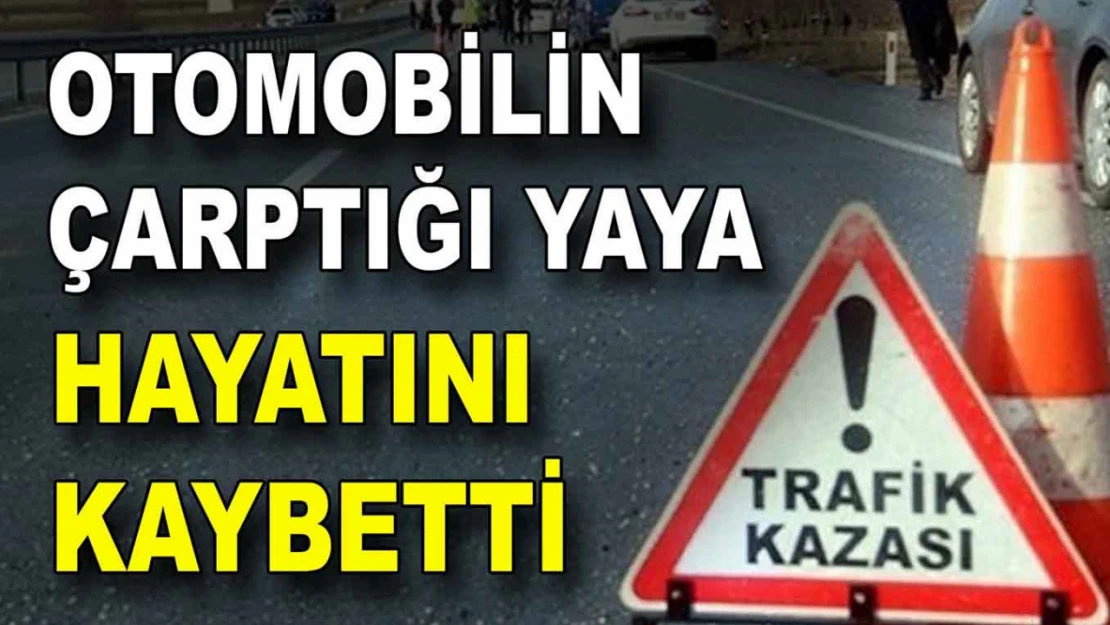 Otomobilin Çarptığı Yaya Hayatını Kaybetti