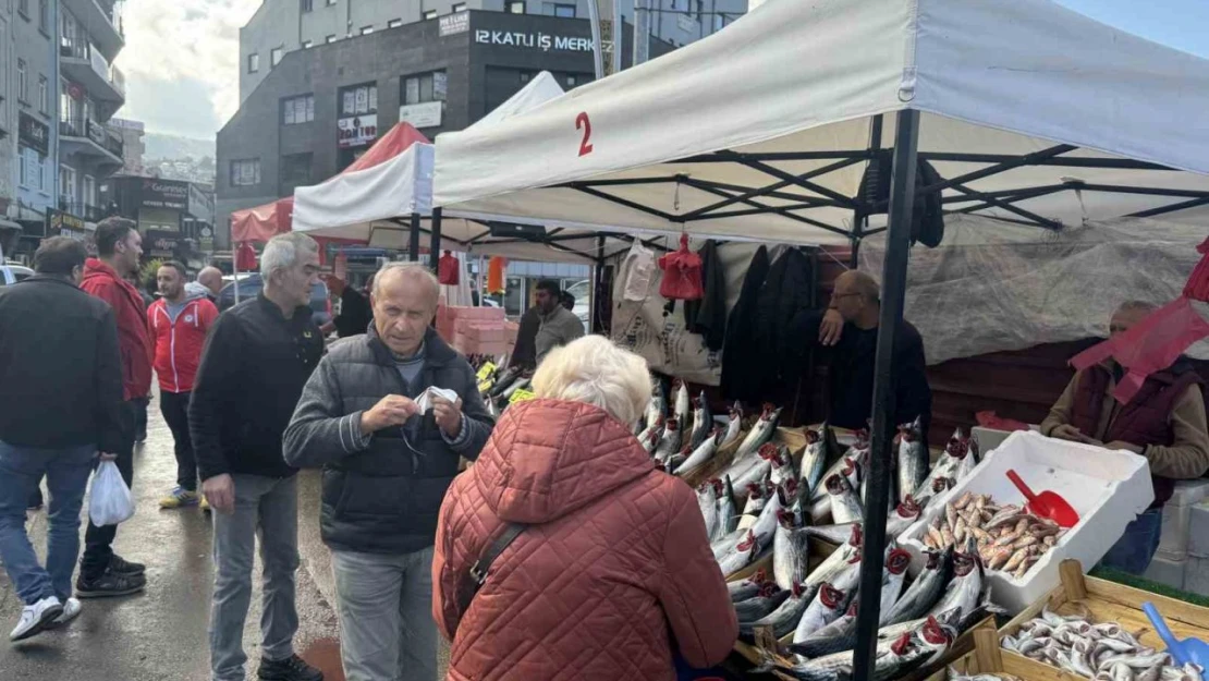 Palamut Fiyatı Düştü, Vatandaş İlgi Gösterdi