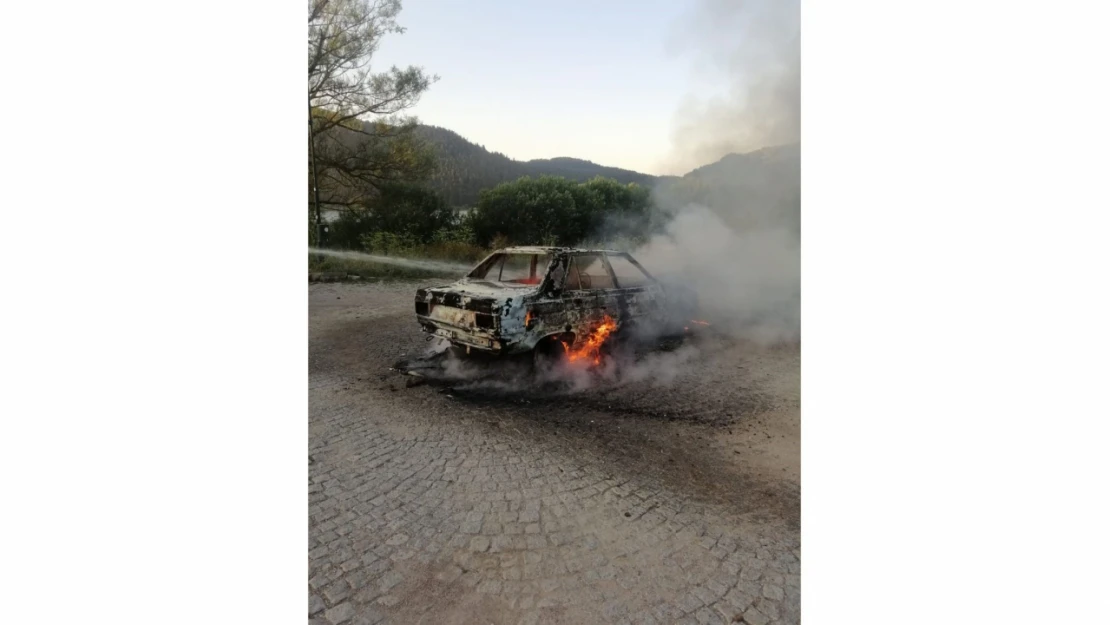 Park halindeki otomobil alevlere teslim oldu