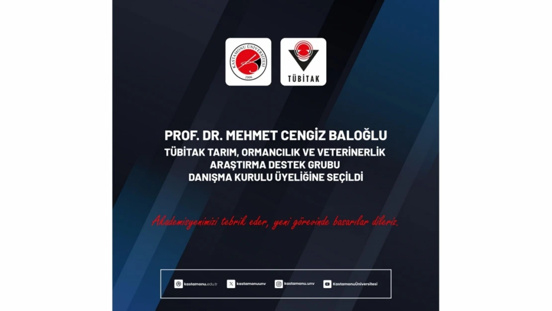 Prof. Dr. Baloğlu, TÜBİTAK Danışma Kurulu Üyeliğine Seçildi