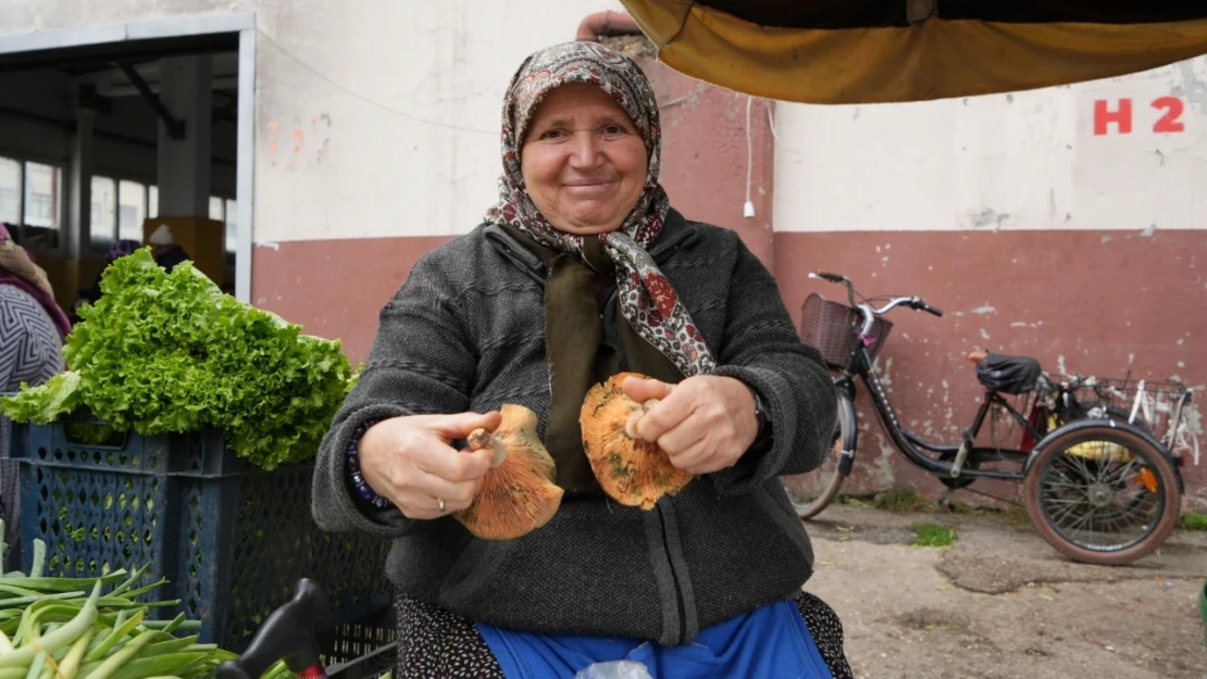 Sabriye Teyzenin Kanlıca Mantarı Mesaisi