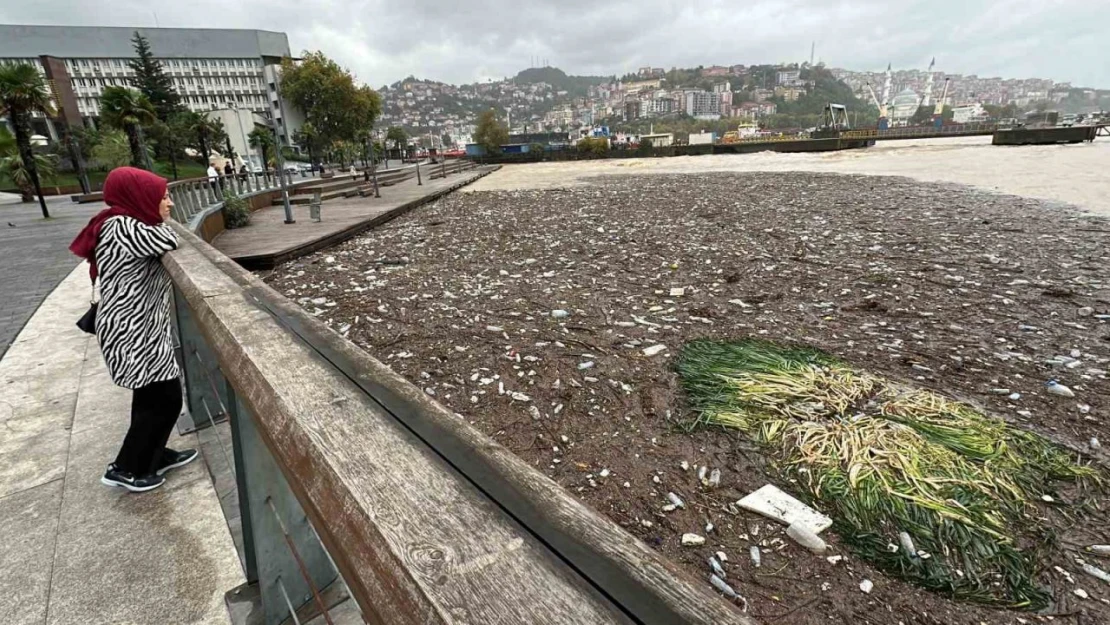 Zonguldak Sahilinde Çevre Kirliliği