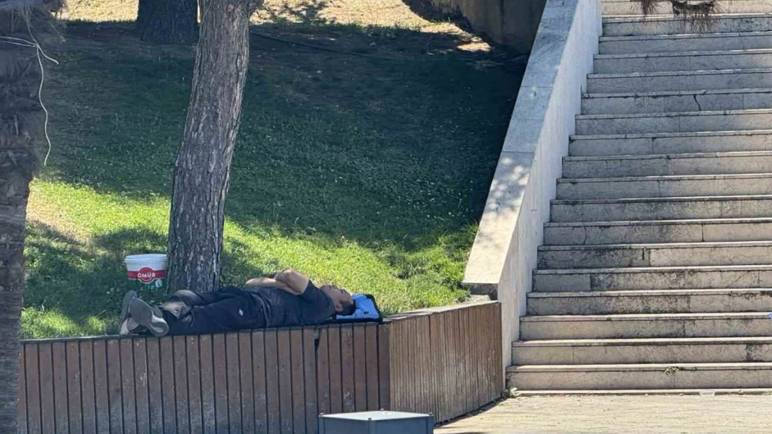 Sıcaktan Bunalan Gölgelik Alanlara Sığındı