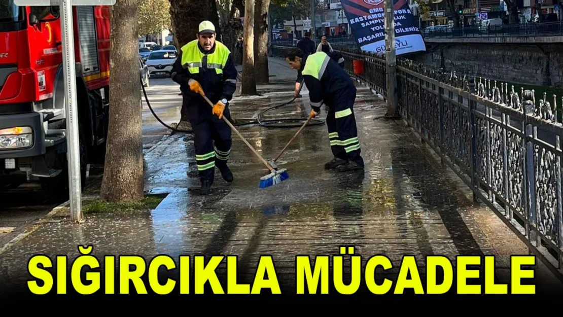 Sığırcıkla Mücadele