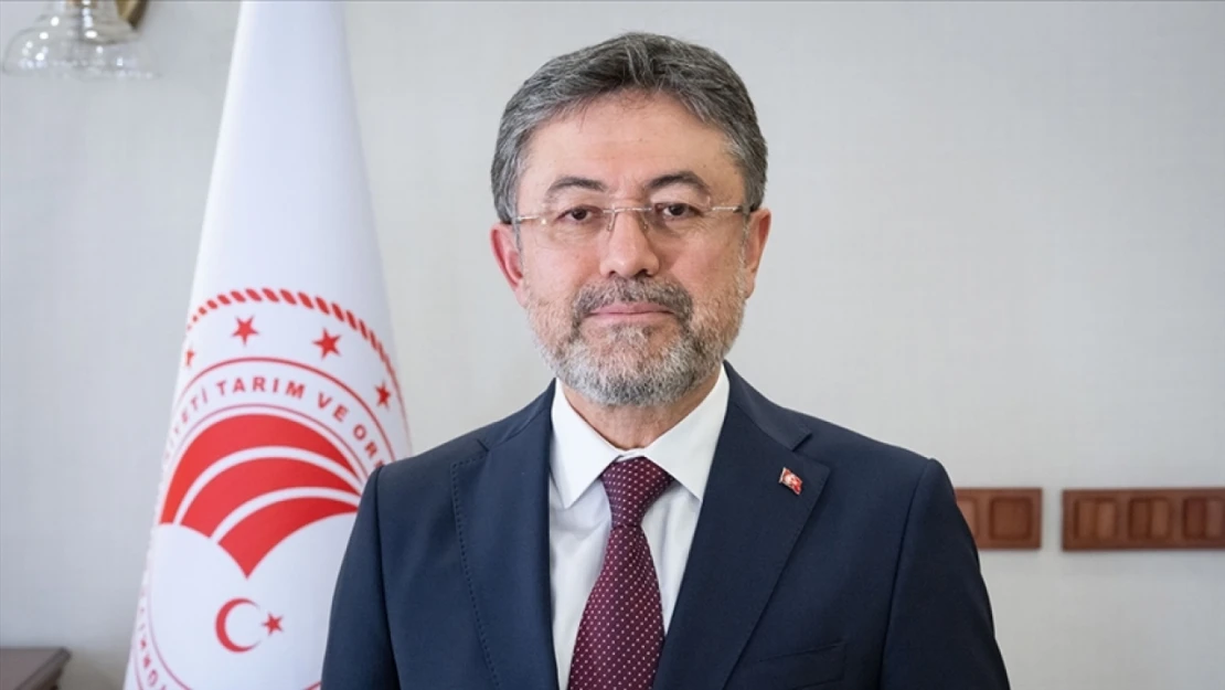 Sigortası Olanların Parası Hemen Verilecek