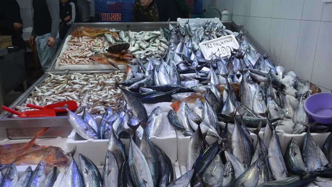 Sinop'ta Balıkçı Tezgahları Şenlendi