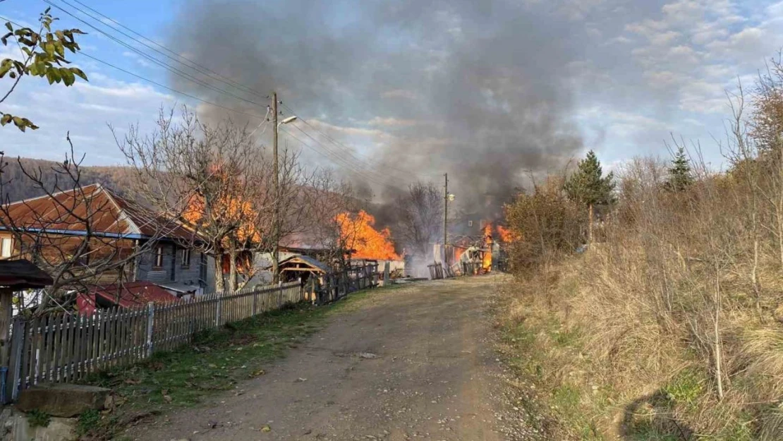 Sinop'ta Yangın: Taşınmazlar Kül Oldu!