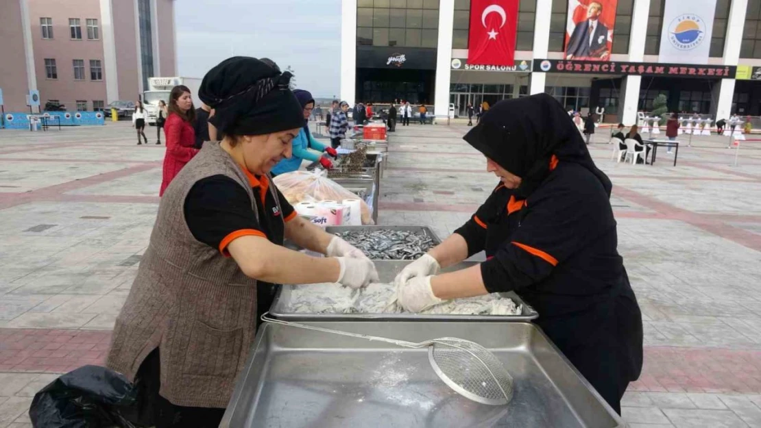 Hamsi Şenliği: 1 Ton Hamsi Tüketildi